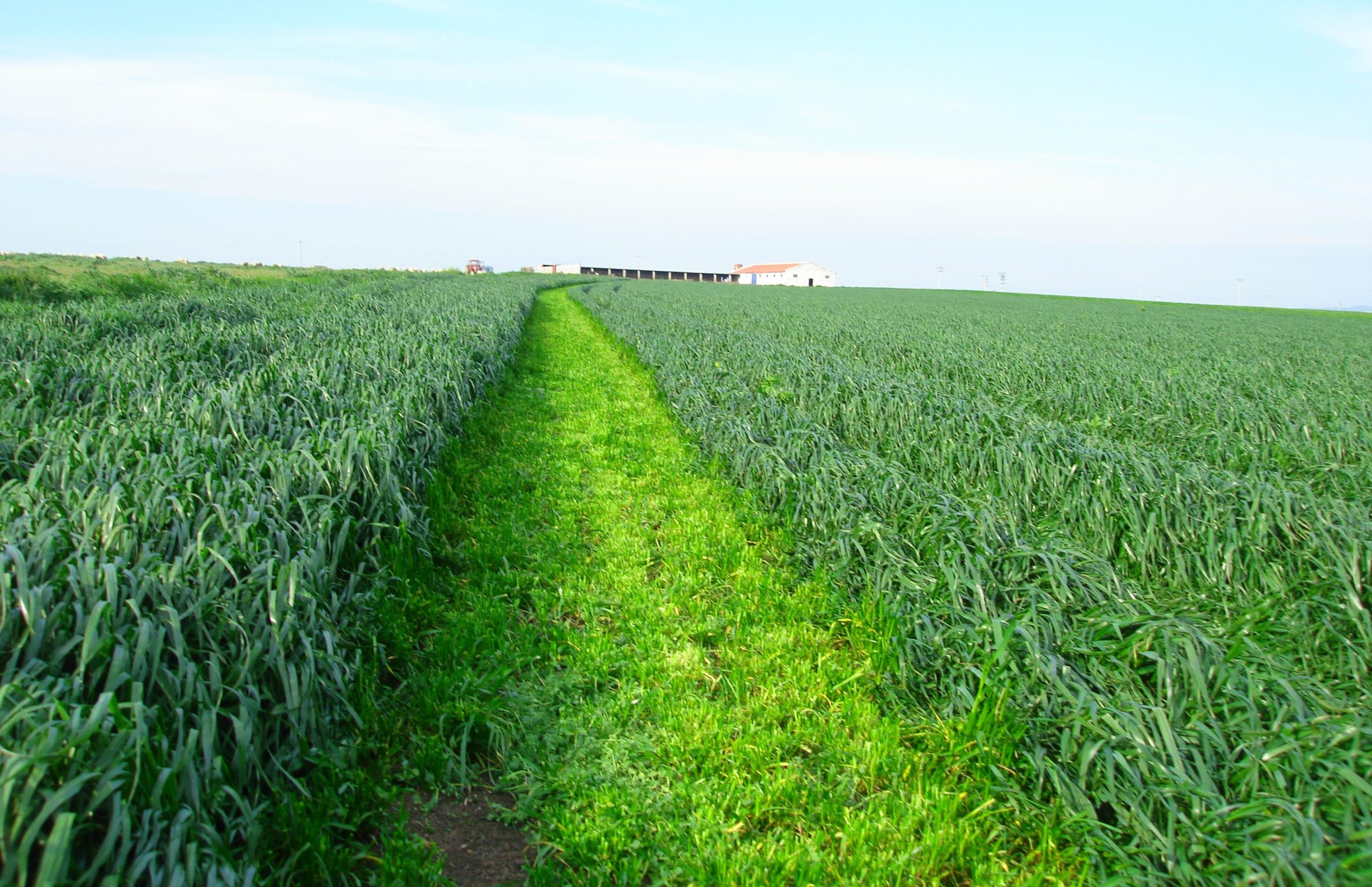 Yem Bitkileri Eğitimi – E-Devlet Onaylı Sertifika